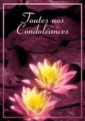 Fleurs de lotus et pens&eacute;es apais&eacute;es